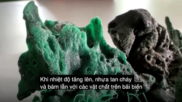 [Video] "Đá nhựa" được phát hiện ở hòn đảo hẻo lánh của Brazil