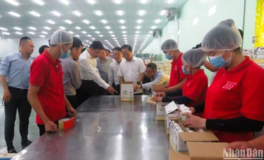 Đoàn công tác Bộ Ngoại giao đến thăm hoạt động sản xuất của doanh nghiệp tại Khu công nghiệp An Hiệp.