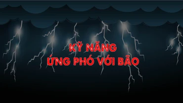 [Infographic] Kỹ năng ứng phó với bão
