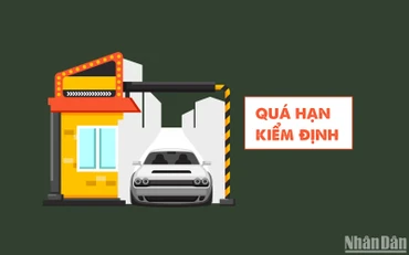 [Infographic] Hàng trăm nghìn ô-tô có thể bị quá hạn kiểm định