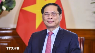 Phó Thủ tướng, Bộ trưởng Ngoại giao Bùi Thanh Sơn. (Ảnh: TTXVN)