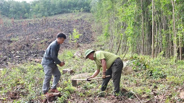 Đơn vị tham gia trồng cây bản địa tại diện tích rừng hộ ông Thiều Song.