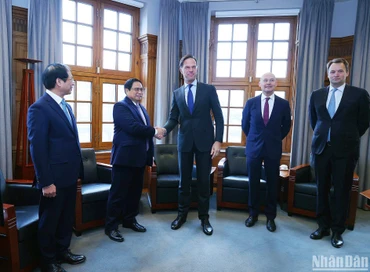 Thủ tướng Chính phủ Phạm Minh Chính và Thủ tướng Hà Lan Mark Rutte. (Ảnh: Nhật Bắc/Dương Giang)