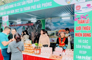 Người dân thành phố Cảng tham quan, mua sắm tại Tuần lễ giới thiệu miến dong và các sản phẩm OCOP, sản phẩm bản địa tỉnh Bắc Kạn.