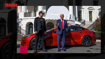 [Video] Ông D. Trump dọa trục xuất người phản đối tỷ phú Elon Musk