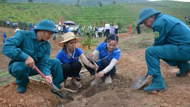 Hưởng ứng Ngày hội trồng cây mắc-ca năm 2024, ngay trong chiều 23/5 có hàng trăm người là nhân dân, cán bộ, giáo viên huyện Tuần Giáo tham gia trồng cây mắc-ca tại xã Quài Cang.