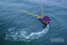 Vẻ đẹp thơ mộng bãi biển Hà Tĩnh. (Ảnh: ĐẬU HÀ)