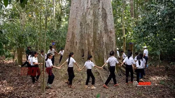 Hình ảnh trong phim tài liệu "Nguyện ước giữa đại ngàn". (Nguồn: Điện ảnh Quân đội nhân dân)