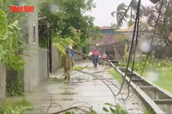 [Video] Bão số 5: 5 người chết, 3 người mất tích, gần 32 nghìn nhà hư hại