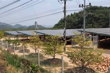 Một công trình điện mặt trời áp mái kết hợp phát triển trang trại nông nghiệp bên dưới tại Đắk Lắk. (Ảnh: Nguyễn Dũng - TTXVN)
