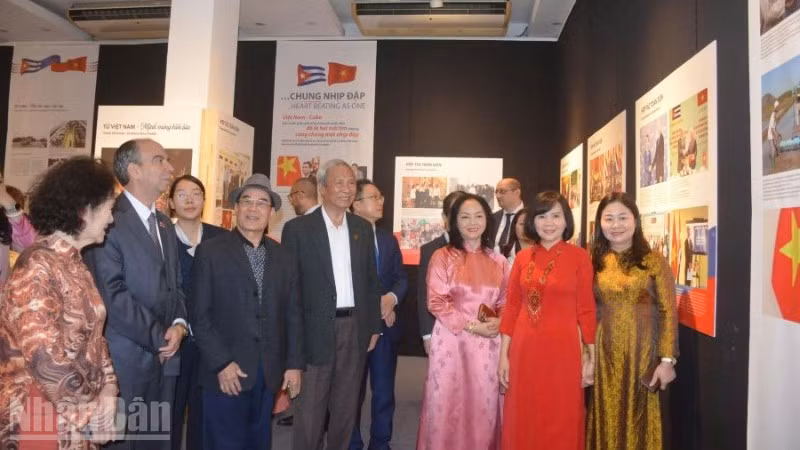 Các đại biểu tham quan triển lãm.