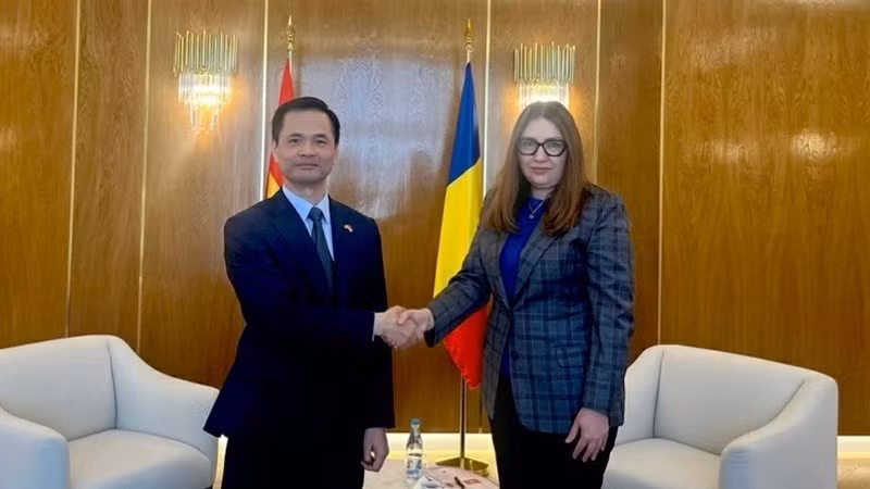 Đại sứ Lê Vĩnh Thắng chào xã giao Quốc vụ khanh Bộ Ngoại giao Romania Ana Tinca. (Ảnh do Đại sứ quán Việt Nam tại Romania cung cấp)