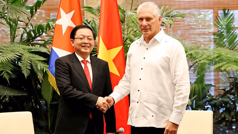 Phó Thủ tướng Chính phủ Hồ Quốc Dũng tiếp kiến Bí thư thứ nhất, Chủ tịch nước Cuba Miguel Diaz-Canel Bermudez. (Ảnh: Đại sứ quán Việt Nam tại Cuba)