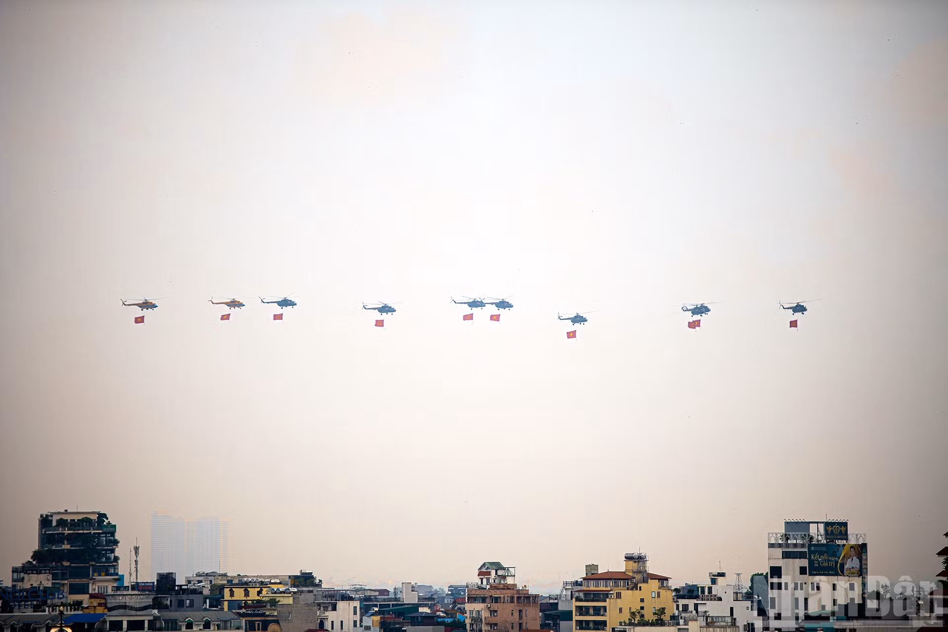 ndo_br_miu-5965.jpg