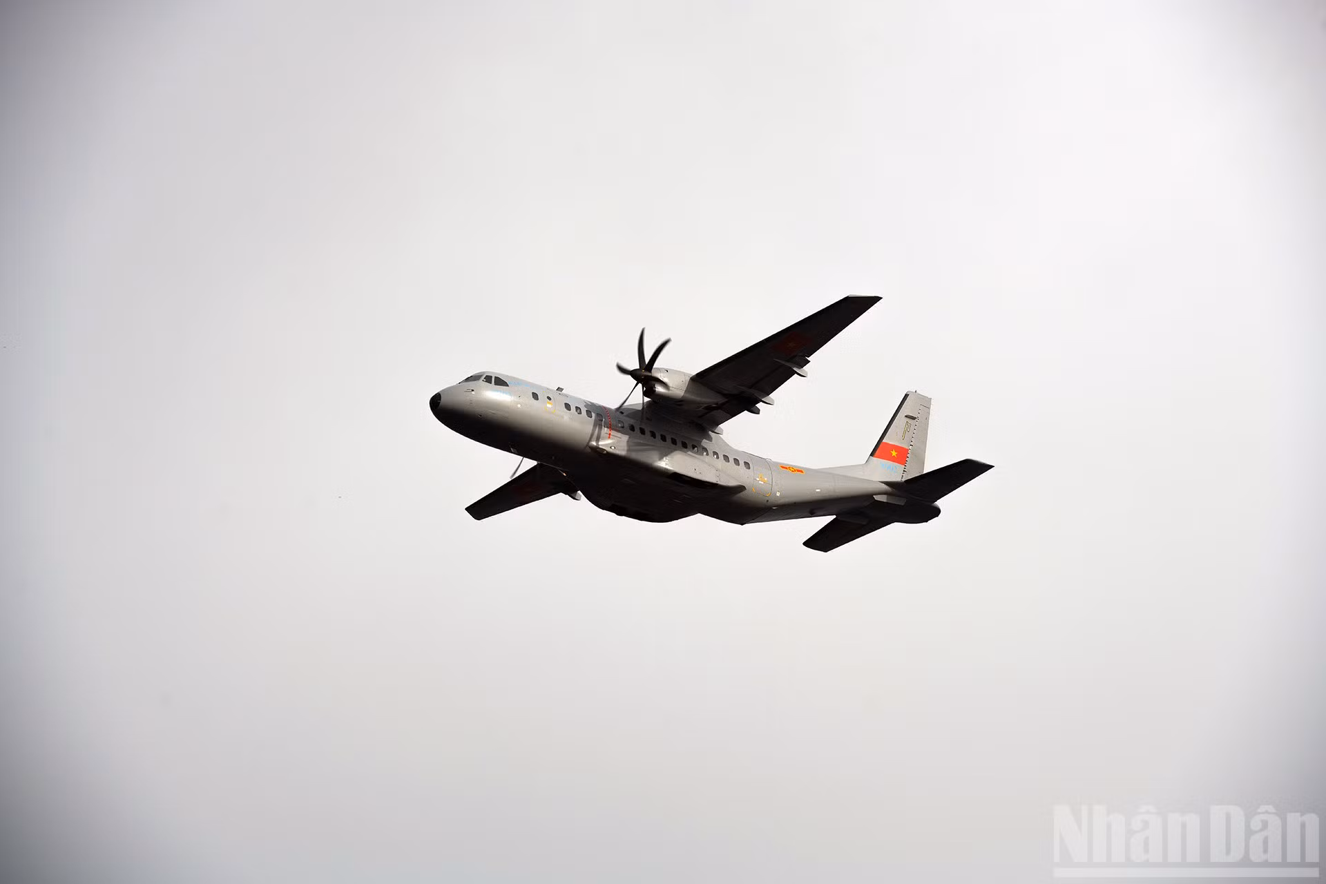 ndo_br_dsc-7762.jpg