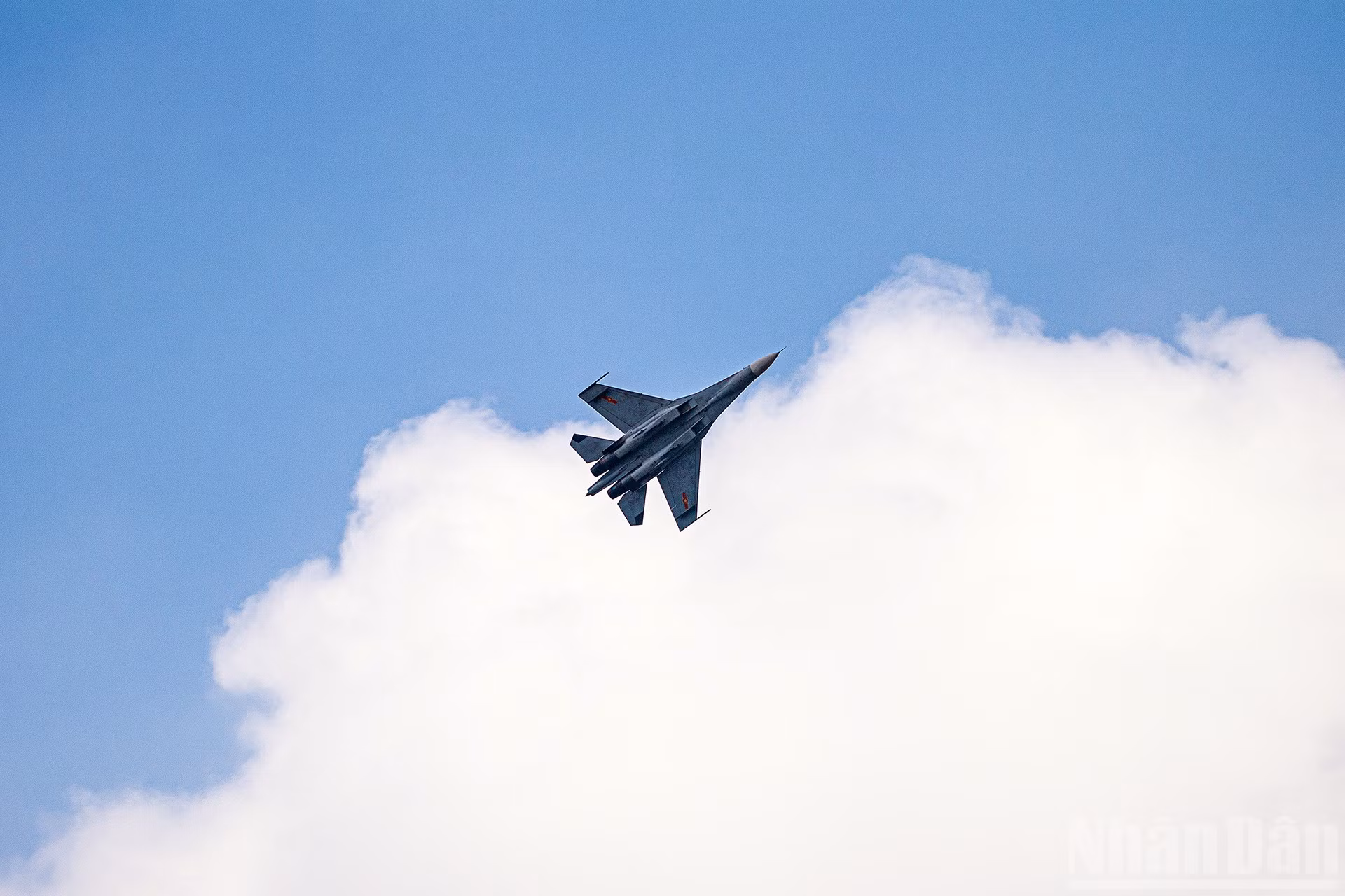 ndo_br_miu-6244.jpg