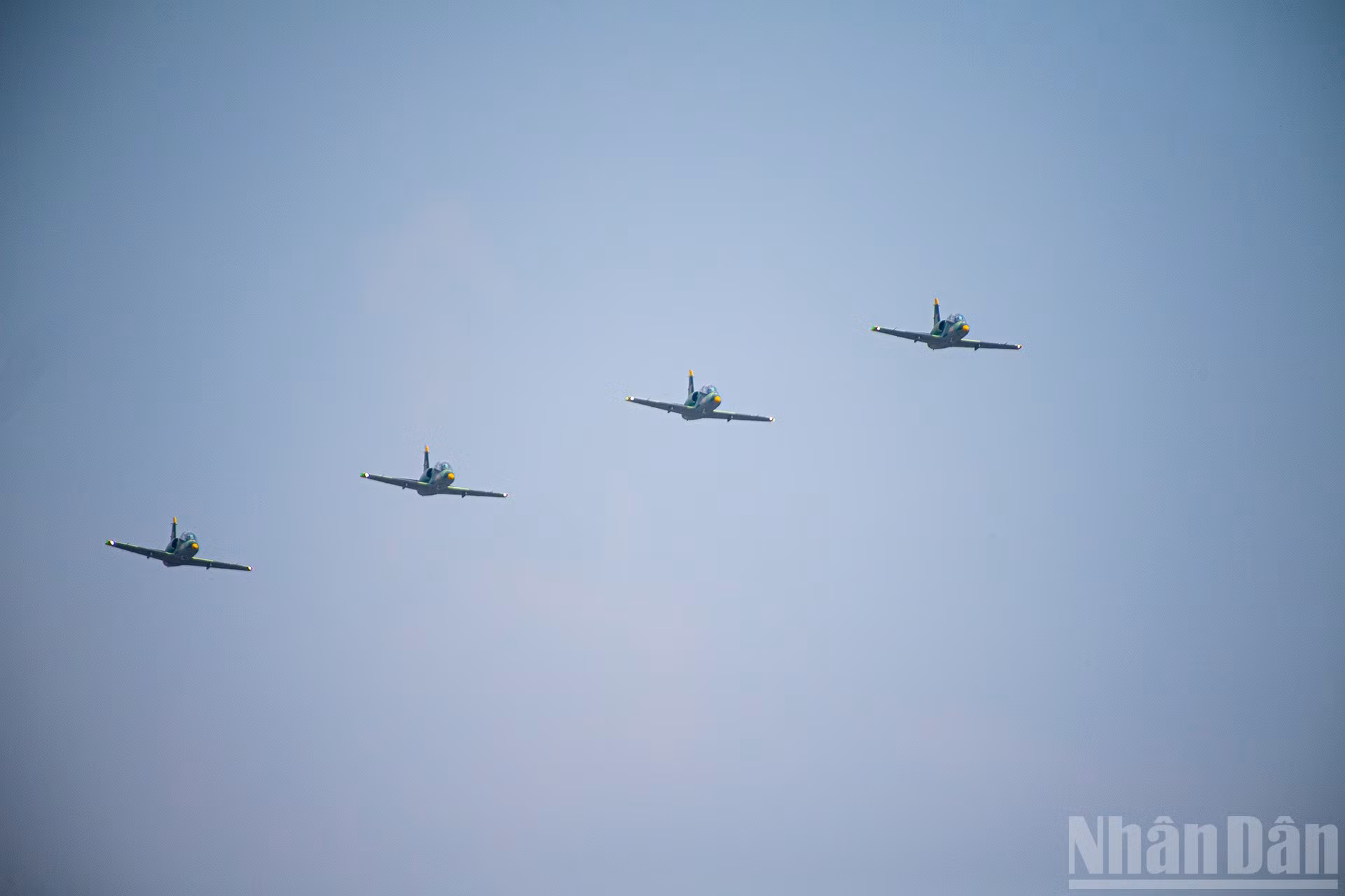 ndo_br_miu-6113.jpg
