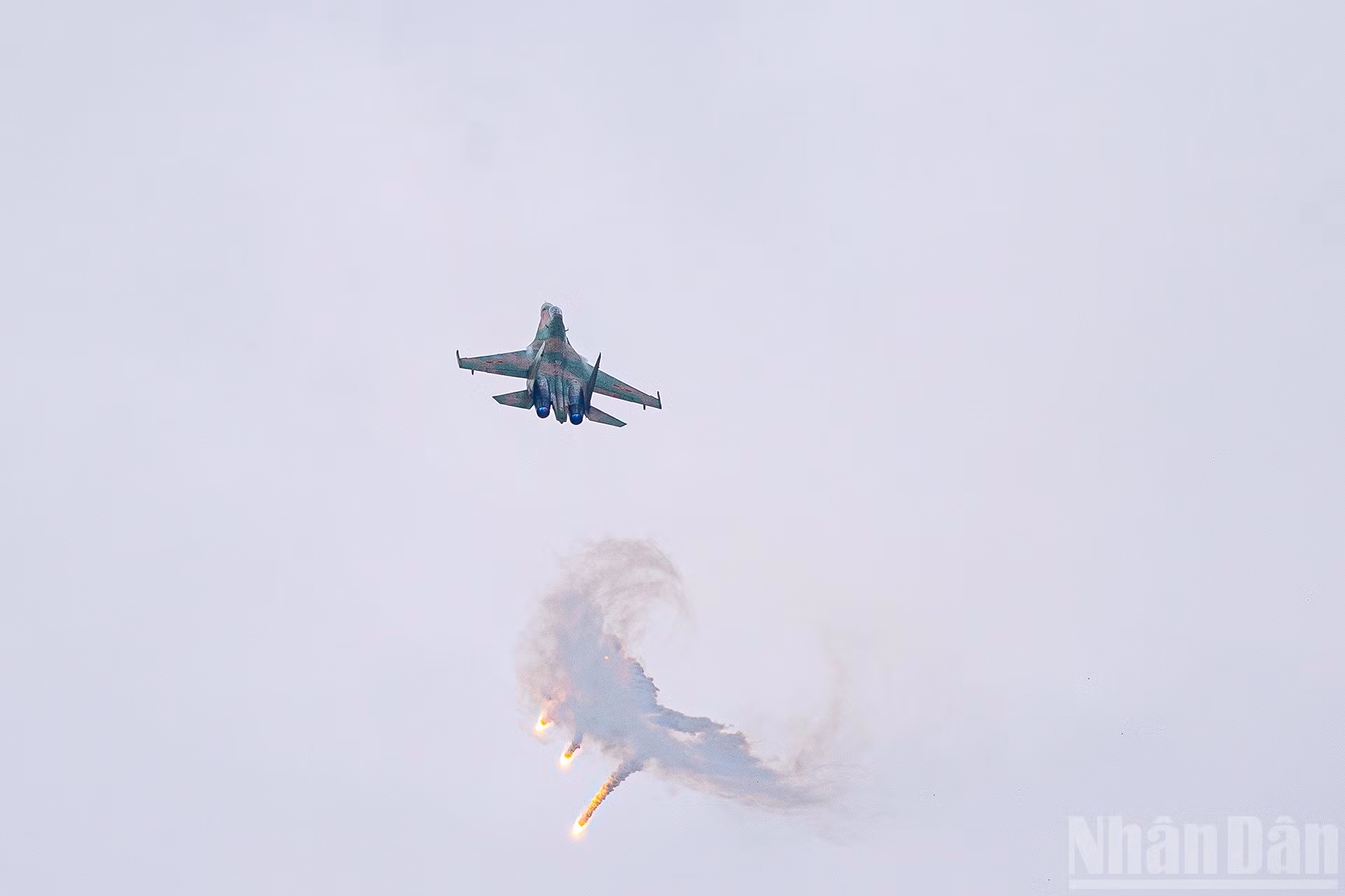 ndo_br_miu-6437.jpg