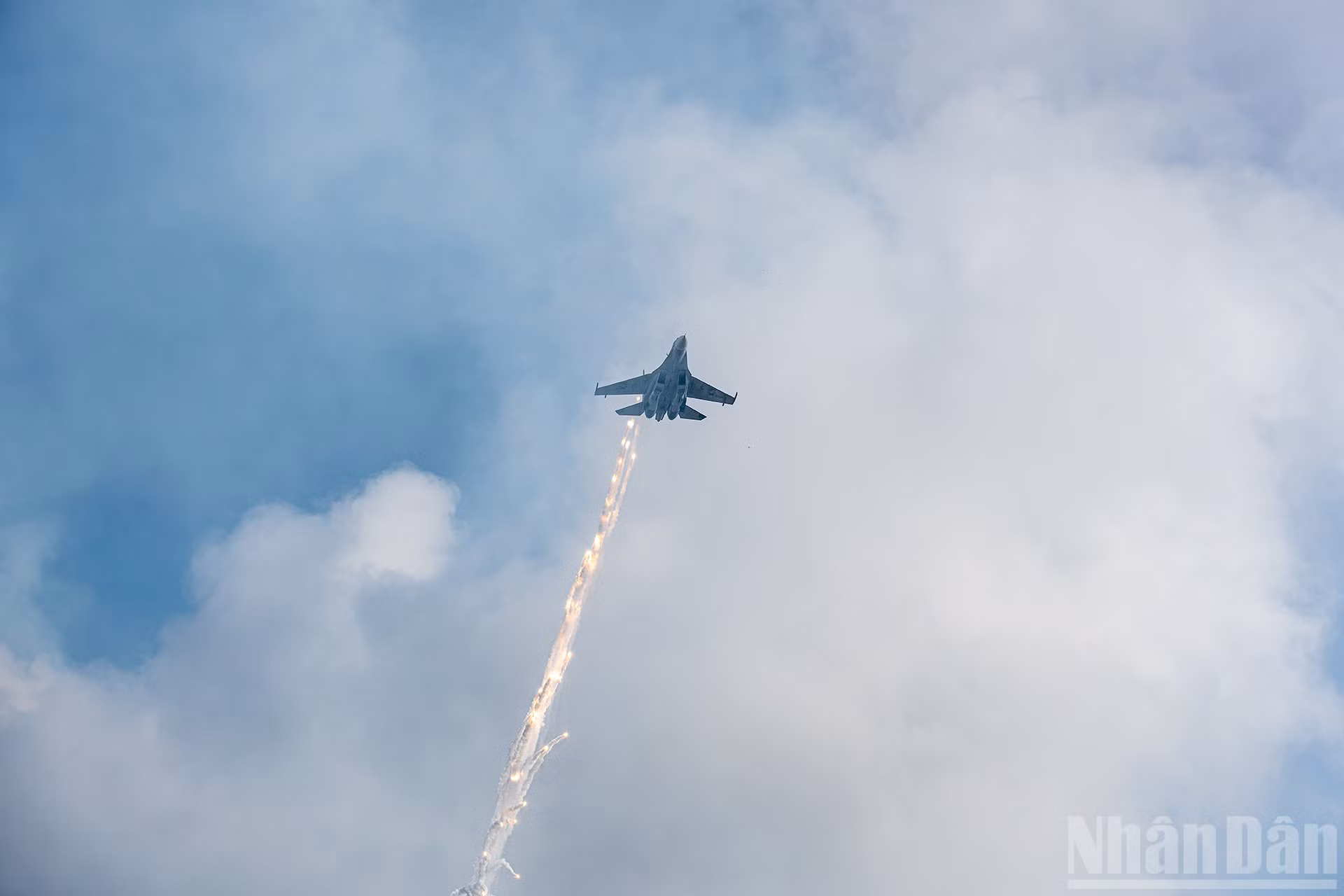 ndo_br_dsc-7846.jpg