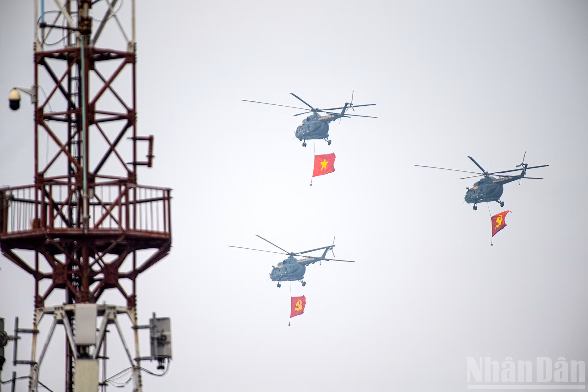 ndo_br_miu-5946.jpg