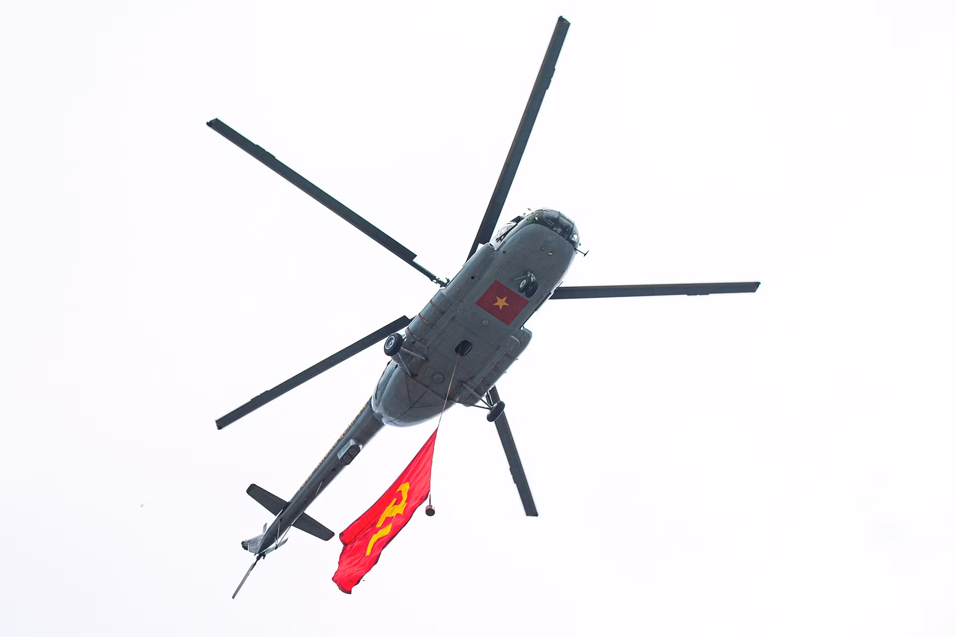 ndo_br_miu-6016.jpg