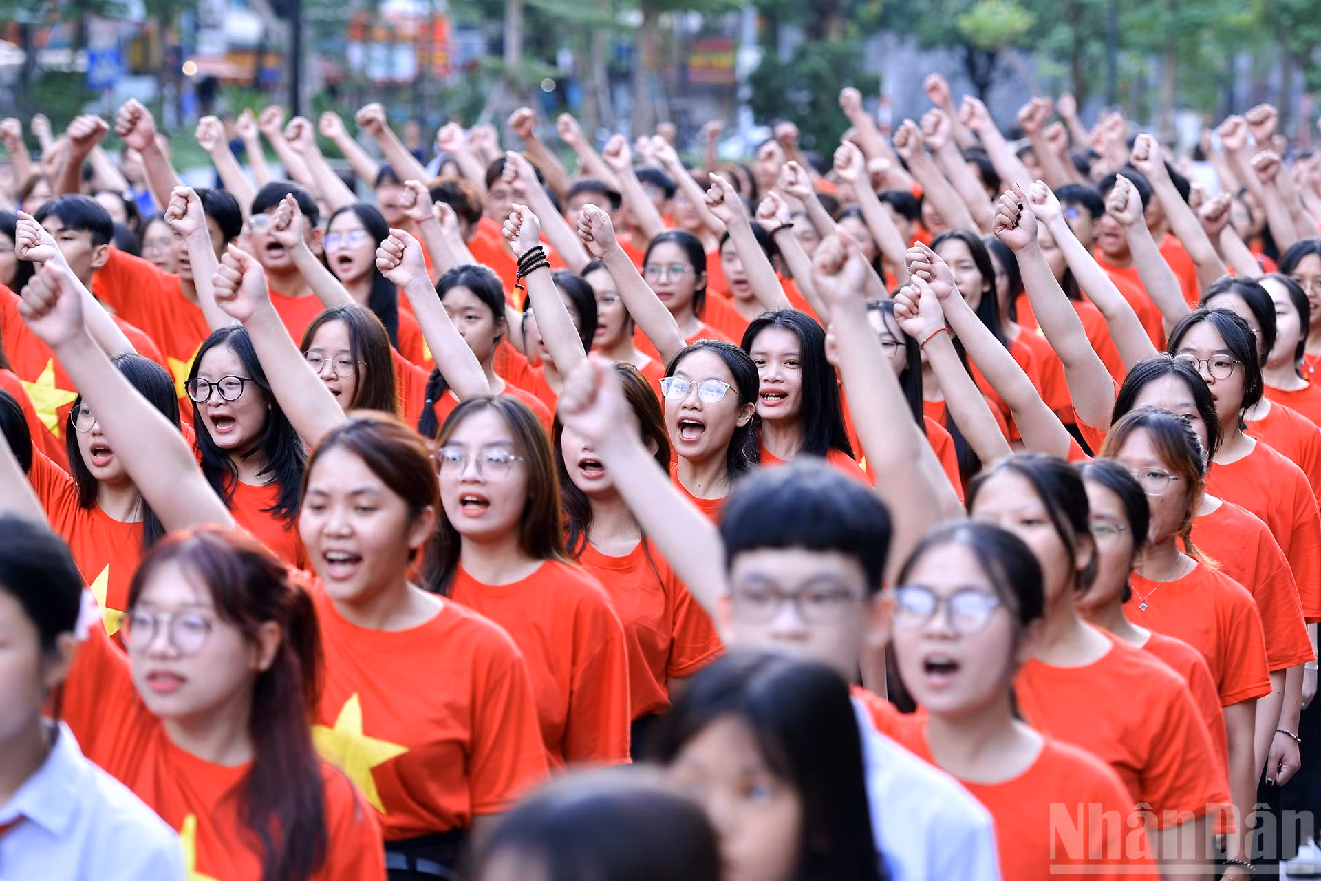 ndo_br_miu-5164.jpg