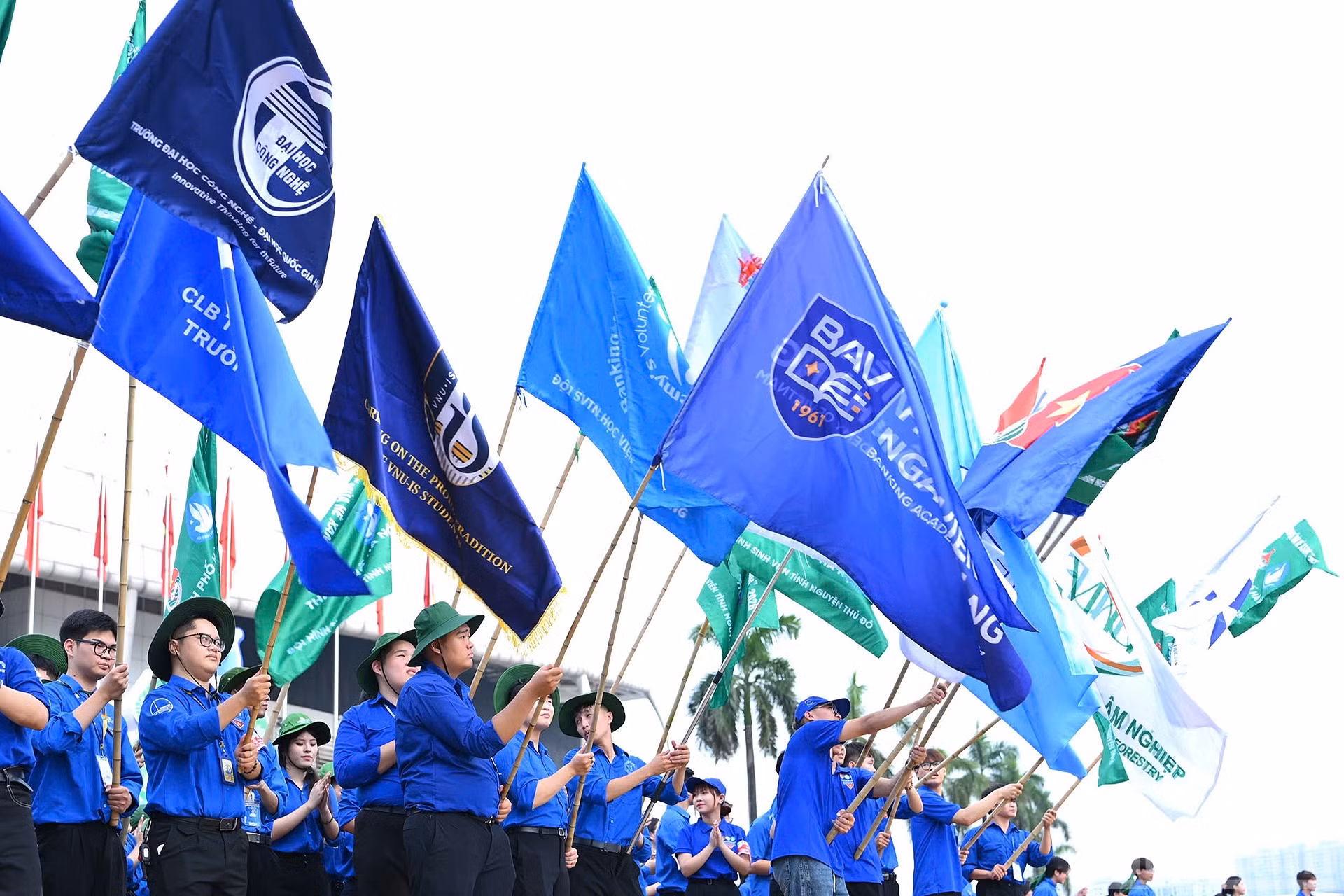 ndo_br_c561c33565c0e49ebdd1.jpg