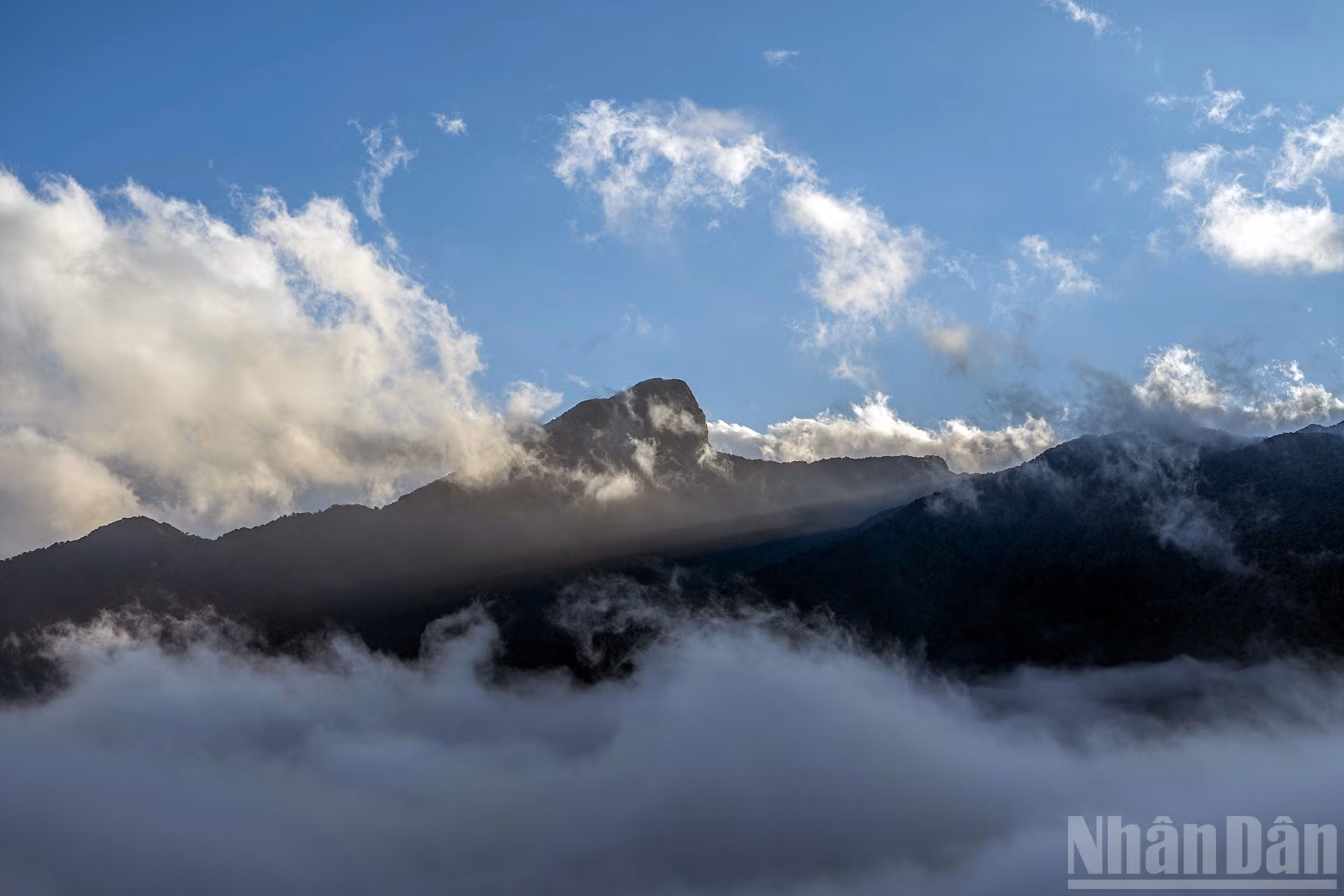 ndo_br_miu-8424.jpg