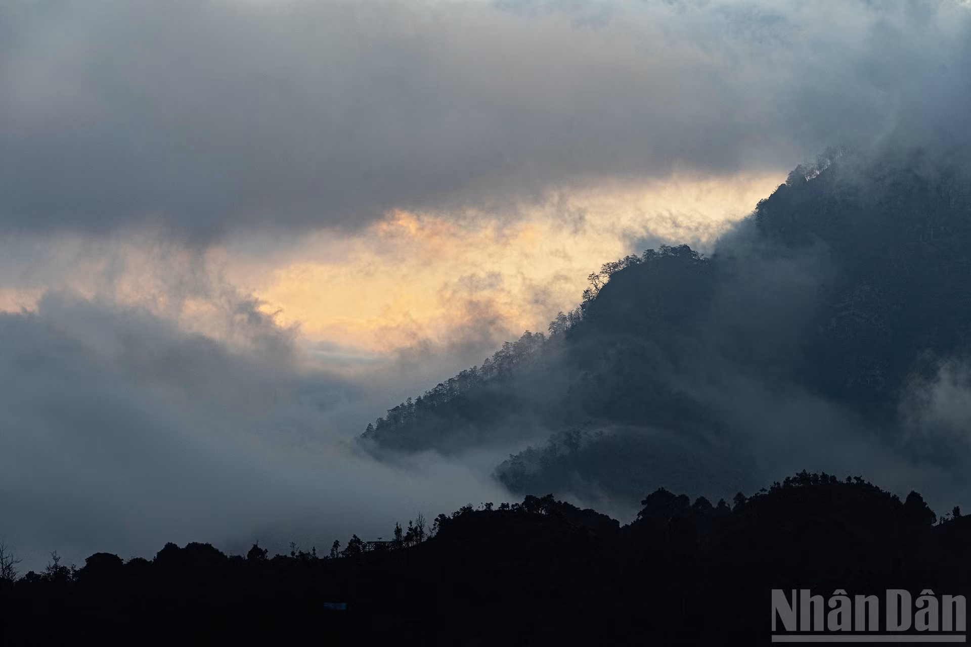 ndo_br_miu-8497.jpg