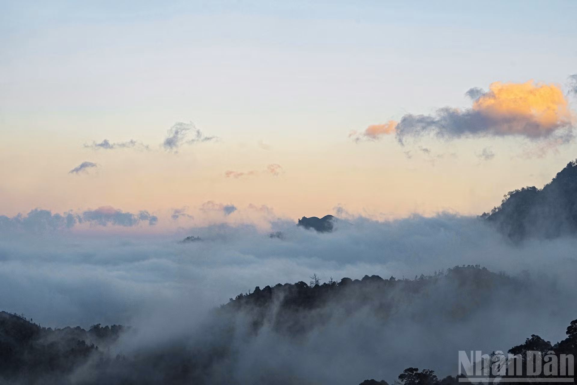 ndo_br_miu-8460.jpg