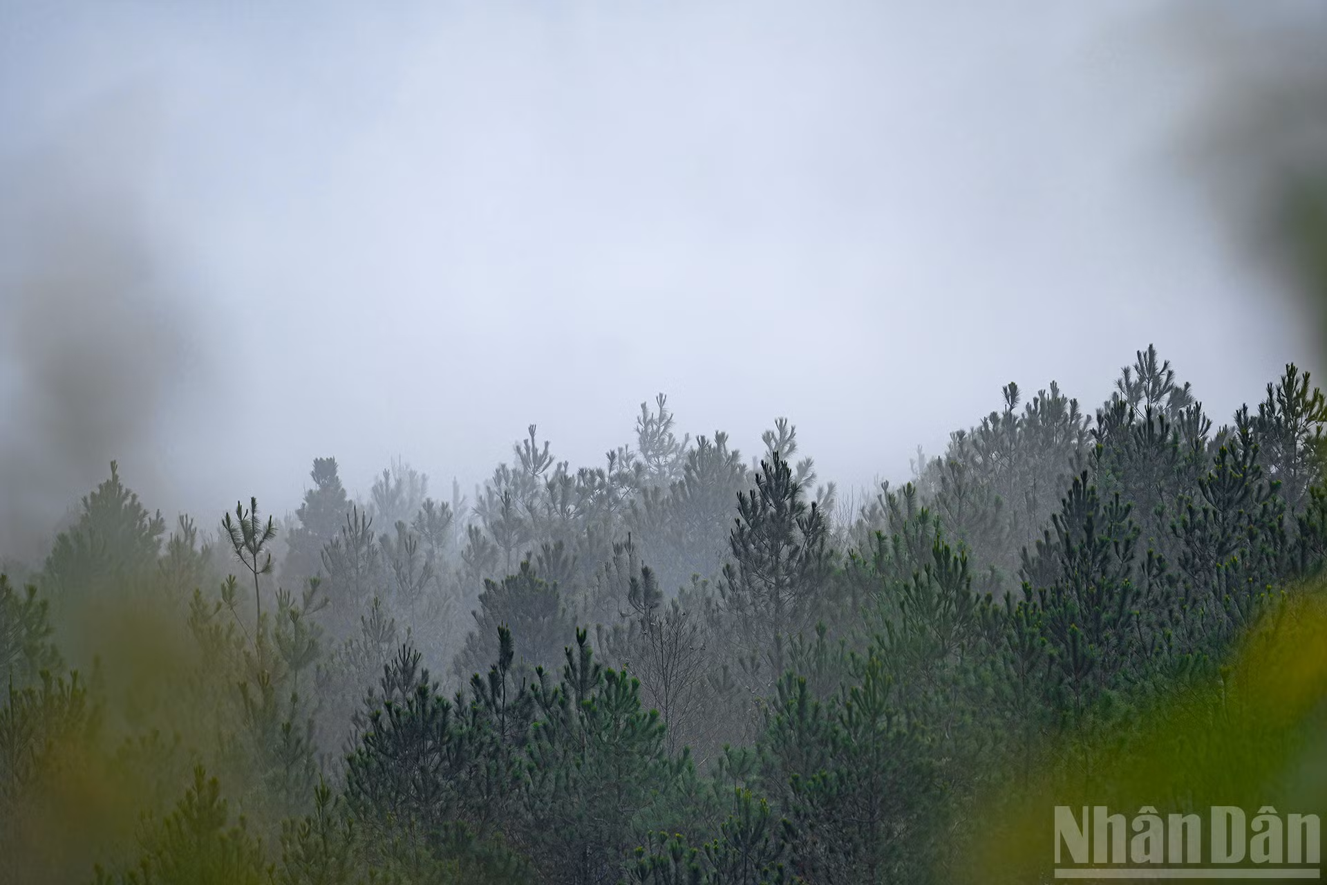 ndo_br_miu-8440.jpg