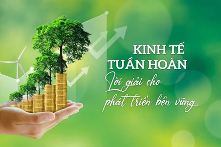 Kinh tế tuần hoàn - Lời giải cho phát triển bền vững