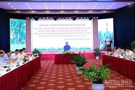 Phó Thủ tướng Bùi Thanh Sơn chủ trì buổi làm việc.