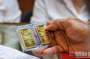 Ảnh: THÀNH ĐẠT