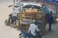 [Video] Cảnh báo nguy cơ cháy, nổ do tích trữ xăng, dầu trong nhà