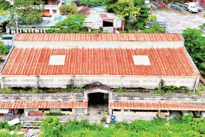 Hiện trạng bỏ hoang tại chợ Phú Hữu, phường Long Trường, Thành phốHồ Chí Minh. (Ảnh THẾ ANH)