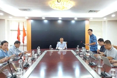 Thứ trưởng Nông nghiệp và Môi trường Phùng Đức Tiến chủ trì họp phòng, chống dịch tả lợn châu Phi.