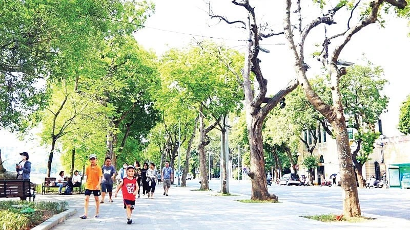 Người đi bộ ở đô thị: Bộ phận thiệt thòi trong không gian giao thông ngày càng thu hẹp