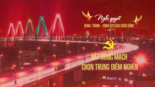 Bắt đúng mạch, chọn trúng điểm nghẽn