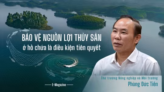 Bảo vệ nguồn lợi thủy sản ở hồ chứa là điều kiện tiên quyết 