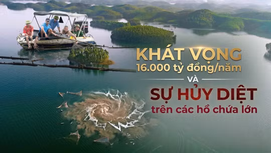 Khát vọng 16.000 tỷ đồng/năm và sự hủy diệt trên các hồ chứa lớn 