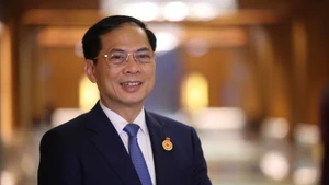 Phó Thủ tướng, Bộ trưởng Ngoại giao Bùi Thanh Sơn trao đổi với báo chí. (Ảnh: BNG)