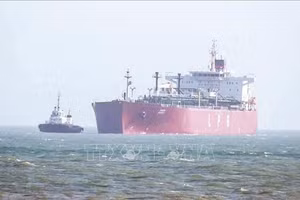 Tàu chở dầu khí tự nhiên hóa lỏng di chuyển qua eo biển Hormuz về tới cảng Mundra ở Kutch, Ấn Độ ngày 16/3/2026. (Ảnh tư liệu: ANI/TTXVN)