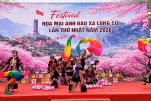 Xã Lũng Cú khai mạc Festival Hoa mai anh đào năm 2026.