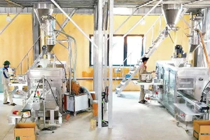 Gia công thuốc bảo vệ thực vật tại Nhà máy nông nghiệp HACO-Chi nhánh Công ty cổ phần Thương mại Hải Ánh (Thanh Hóa).