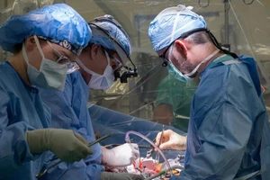 (Ảnh minh họa: Northwestern Medicine)