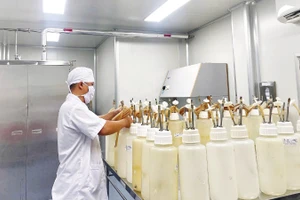 Nhân viên y tế chuẩn bị dụng cụ trích huyết thanh. (Ảnh: CỘNG TÁC VIÊN)