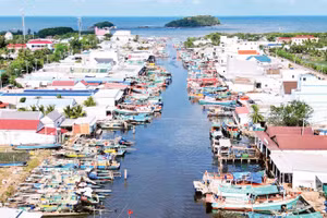 Tàu cá neo đậu tấp nập tại miền biển xã Đá Bạc, tỉnh Cà Mau, ảnh chụp ngày 24/3.