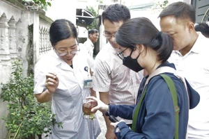 Cán bộ y tế Hà Nội giám sát, điều tra véc tơ truyền bệnh sốt xuất huyết tại cộng đồng.