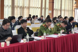 Các đại biểu tham dự hội thảo.